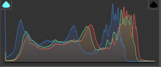 histogram-camera-raw