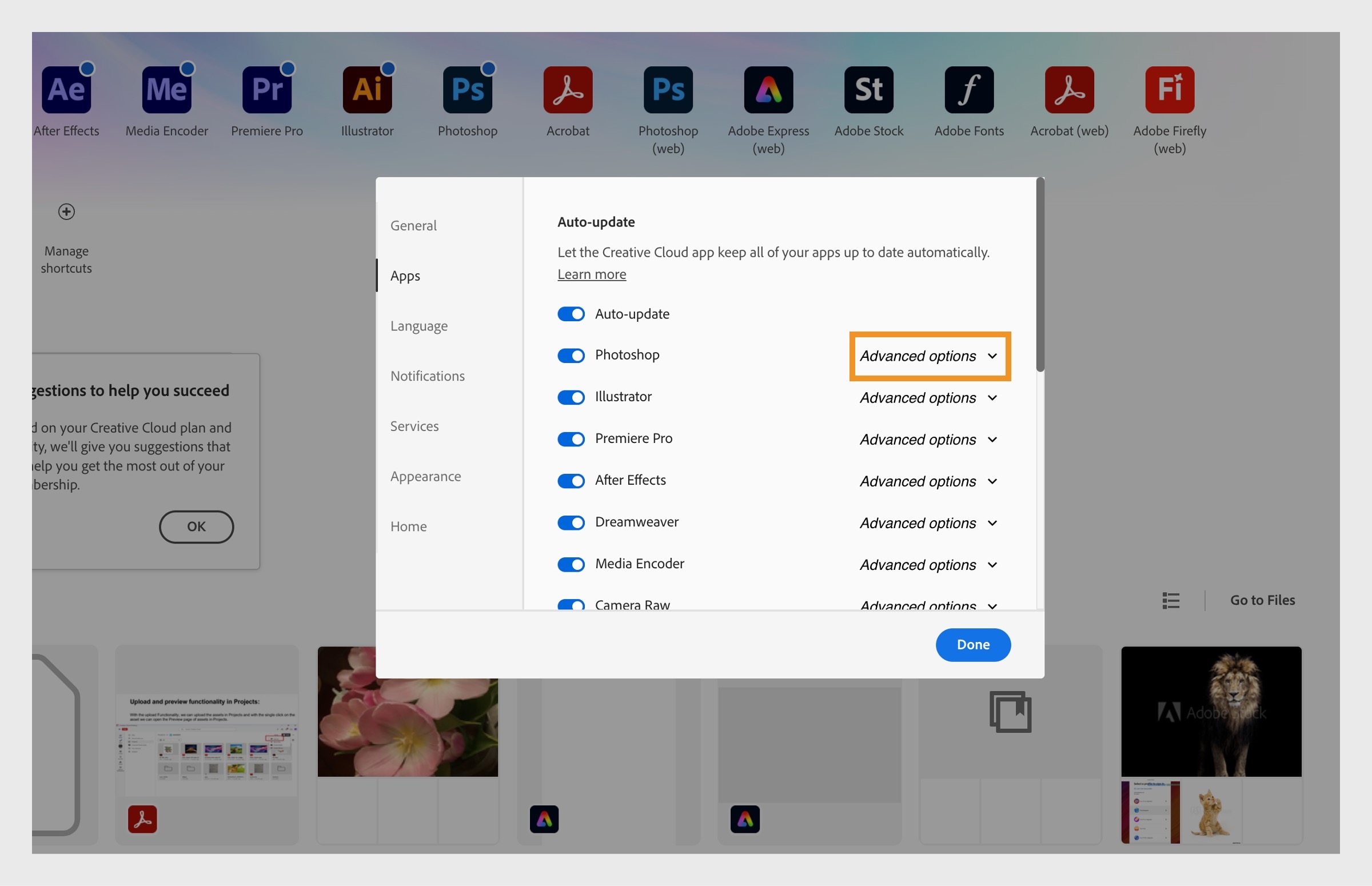 تعرض علامة التبويب "التطبيقات" في نافذة التفضيلات أقسام التحديث التلقائي مع خيارات لتشغيل التحديثات التلقائية أو إيقاف تشغيلها لجميع التطبيقات والتطبيقات الفردية، وعرض الخيارات المتقدمة.