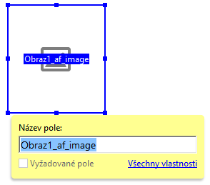 Použití pole obrázku ve formuláři