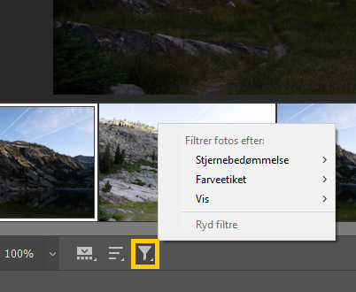 Filtrování fotografií ve filmovém pásu Camera Raw