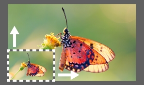 Funkce Super rozlišení použitá v modulu Camera Raw za účelem zdvojnásobení rozlišení obrázku