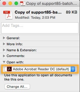 Öffnen einer PDF nicht möglich