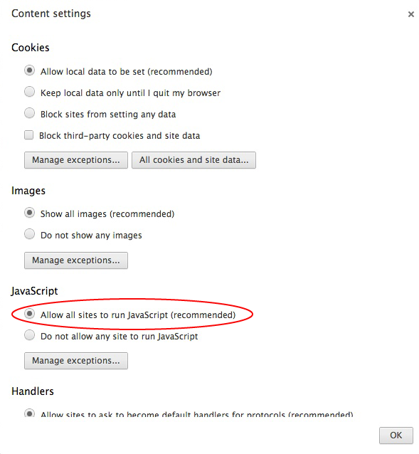 Wähle „Ausführen von JavaScript auf allen Sites zulassen“