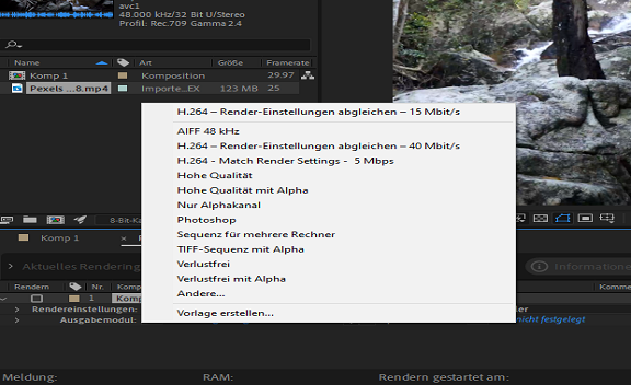 Voreinstellungen für H.264-Ausgabemodule