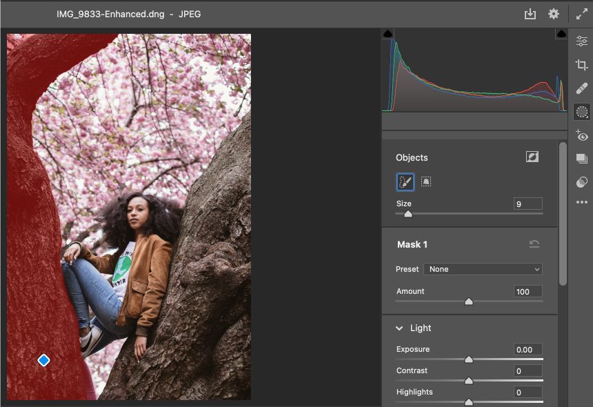 Übersicht über die neuen Funktionen Adobe Camera Raw (Version Oktober