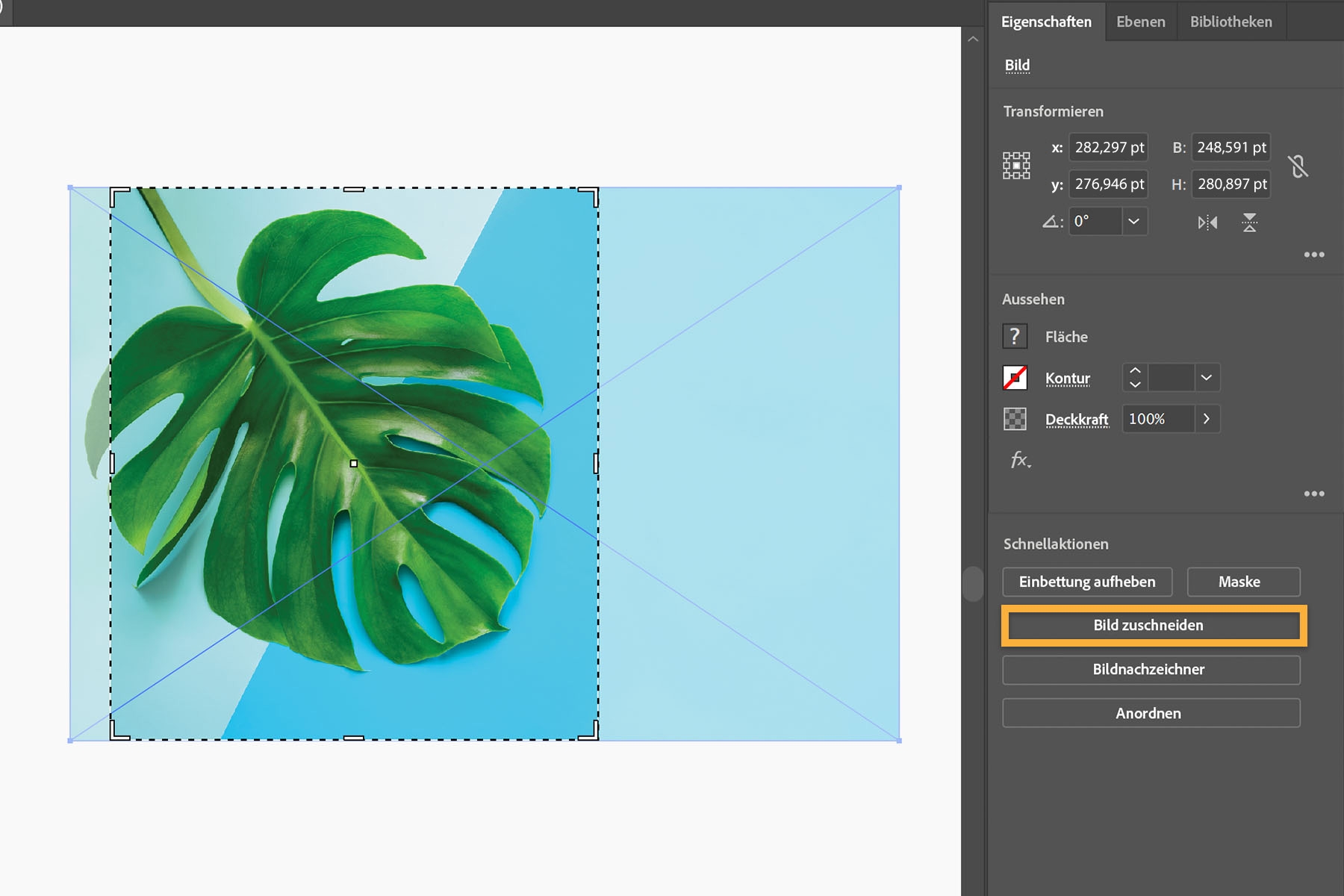 Ein Blatt ist zum Zuschneiden ausgewählt. Mit „Bildnachzeichner“ kann das Rasterbild in eine Vektorgrafik umgewandelt werden.  