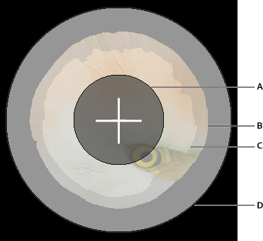 Cursor des Auswahl verbessern-Pinsels