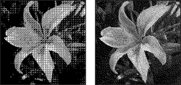 Modulation Diffuse Y Dithering Verwenden von Bildmodi und Farbtabellen | Photoshop Elements