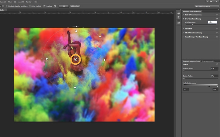 Im Zentrum des Rings der Weichzeichnungsvorschau ist das Bild am schärfsten. Je weiter nach außen, desto unschärfer wird es.