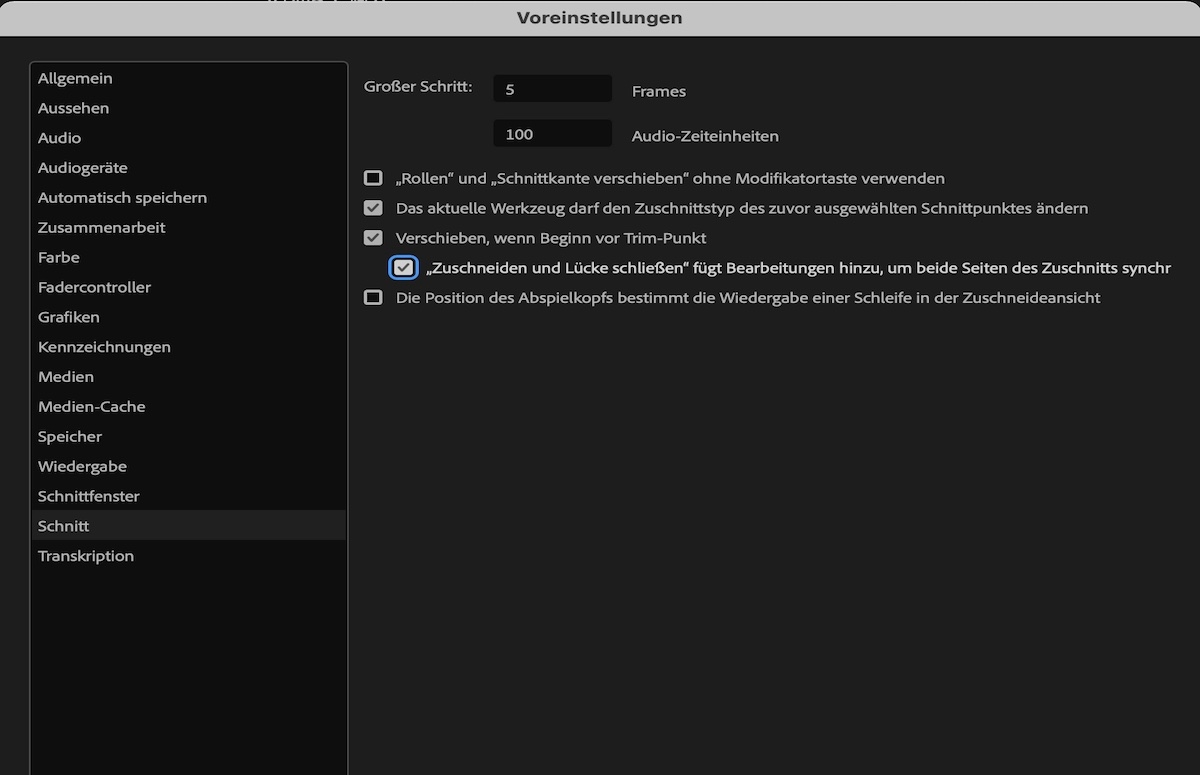 Übersicht über die Premiere ProFunktionen (Dezember 2023)