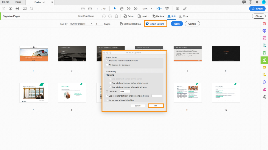Adobe Split PDF Online and Desktop