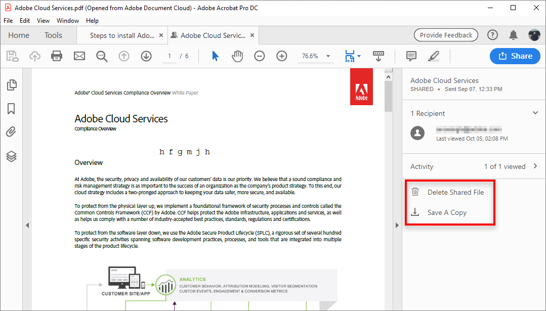 Options for an unshared file in the right-hand pane