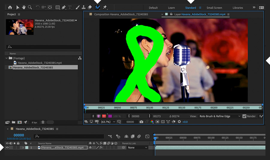 rotoscope-subject-step1