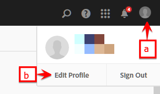 image_api_access image_api_access