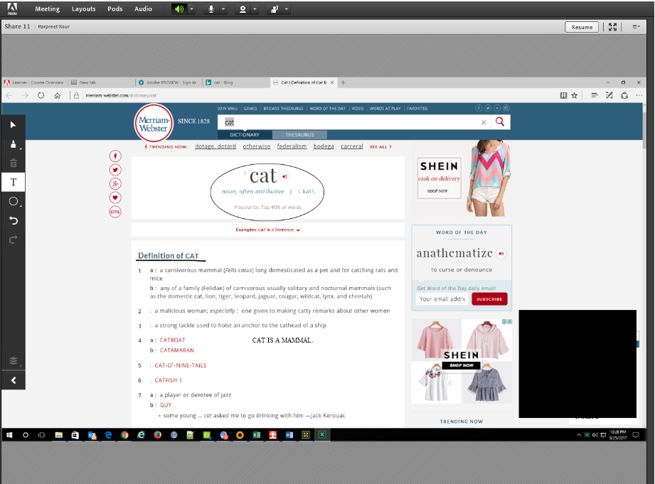 How to add Pointer Markings on a page in **Adobe Connect** during