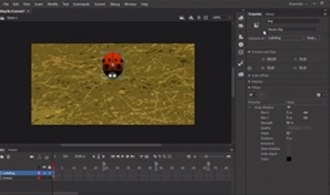 adobe animate interactive video