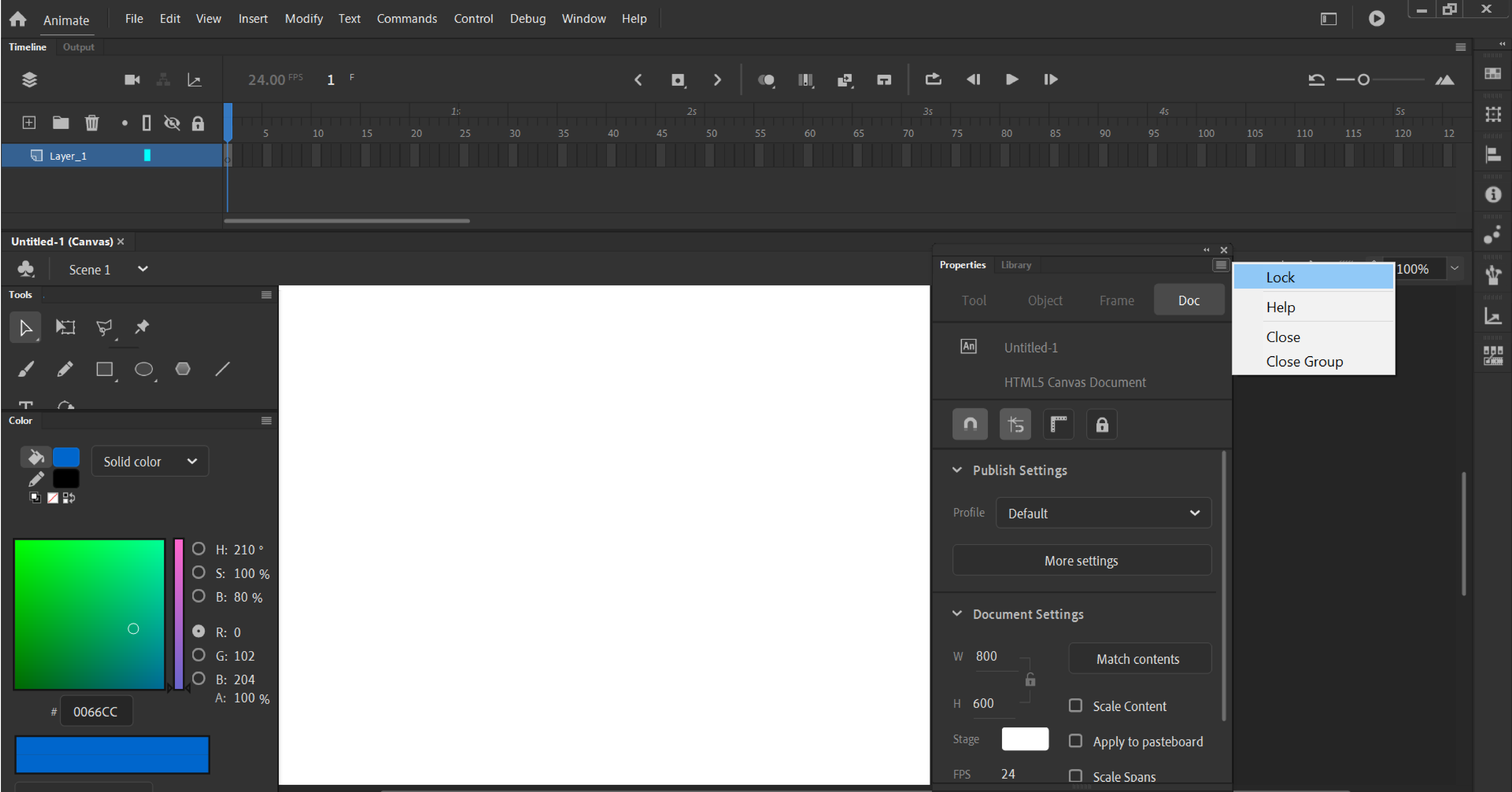 Authoring Panels In Animate