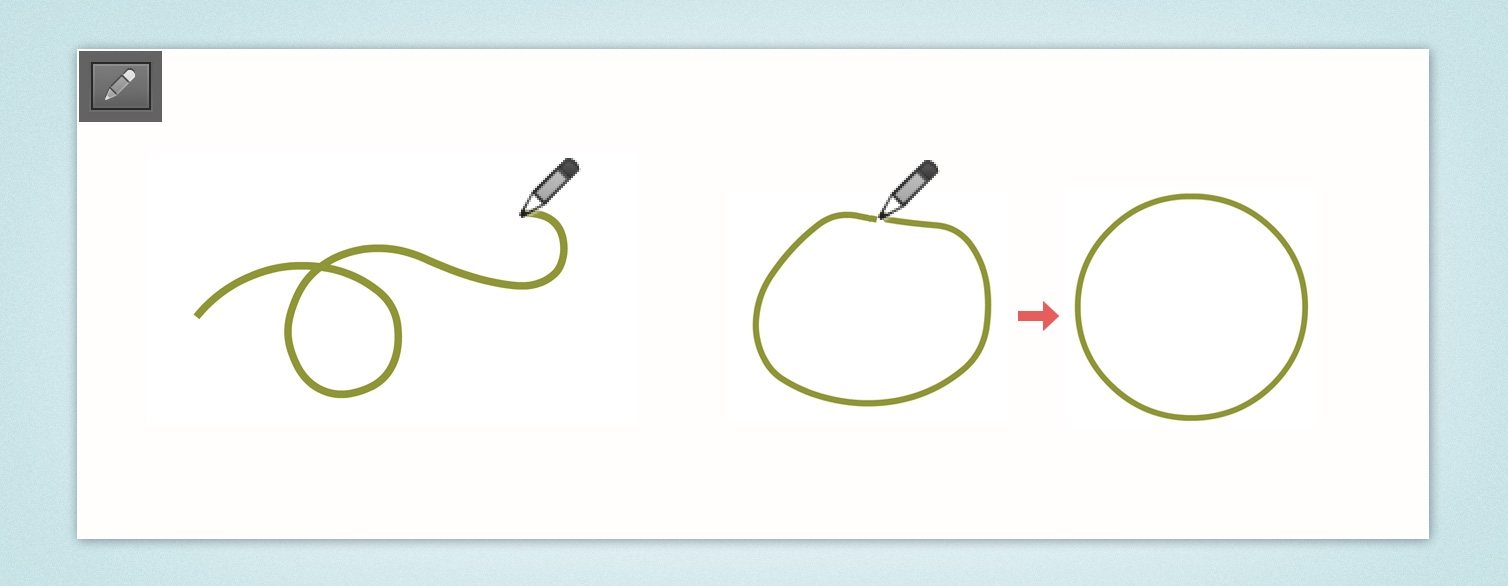 Basic tools in Animate