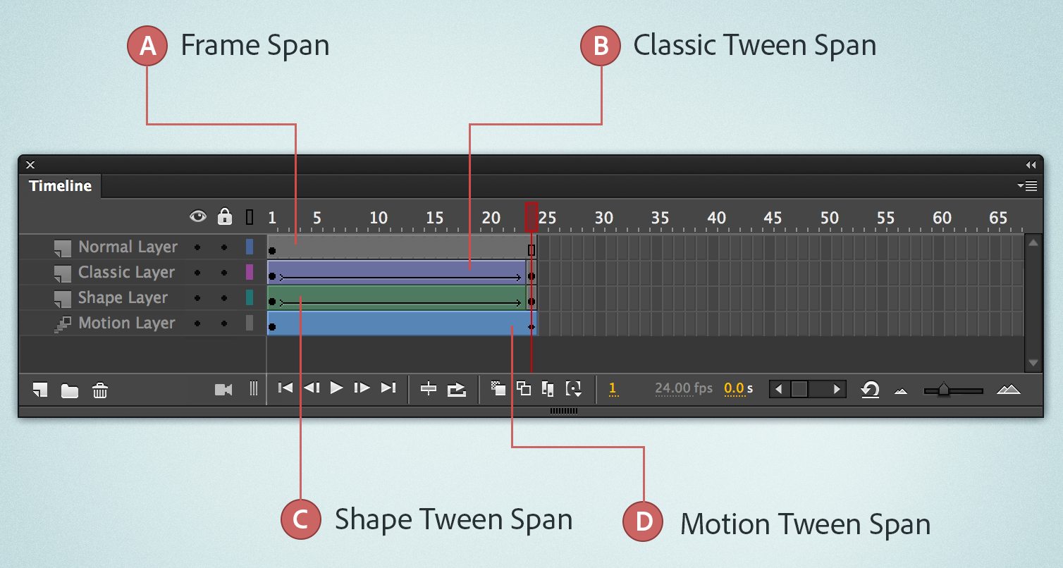 frames in adobe animate