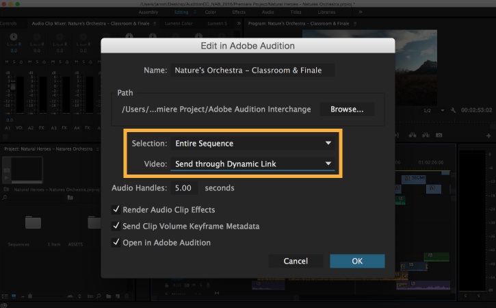 Export a multitrack session from Audition