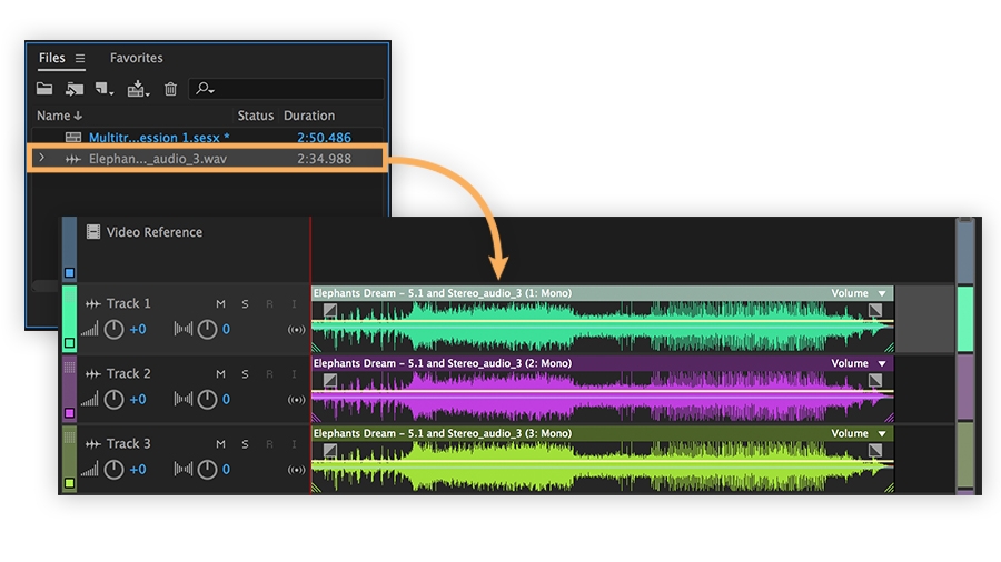 Working with multichannel audio editing workflows