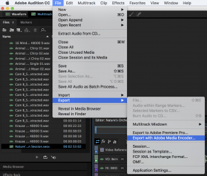 Export with Adobe Media Encoder menu option