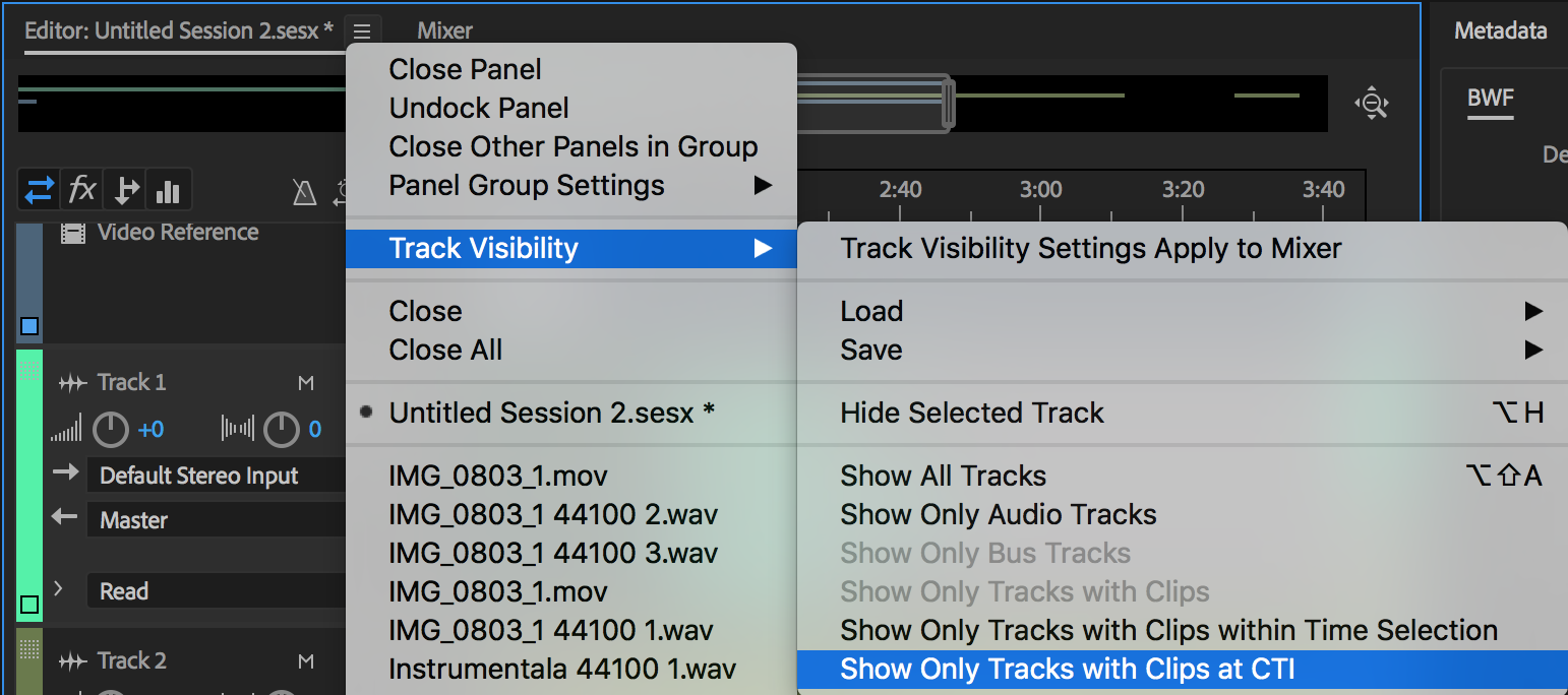 Track visibility options