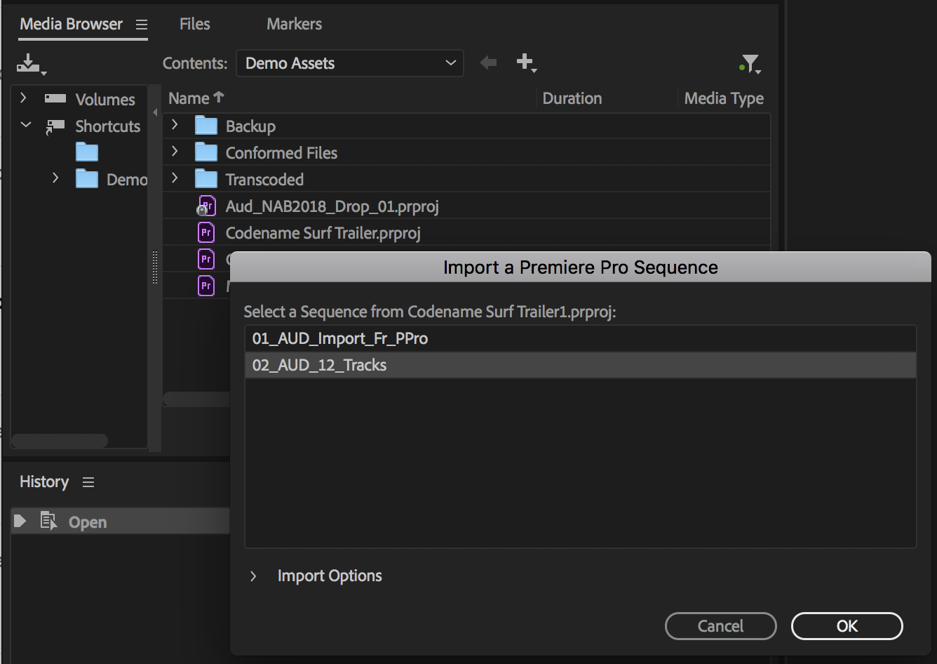 adobe premiere pro presets location