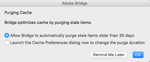 how to purge central cache in adobe bridge cs6