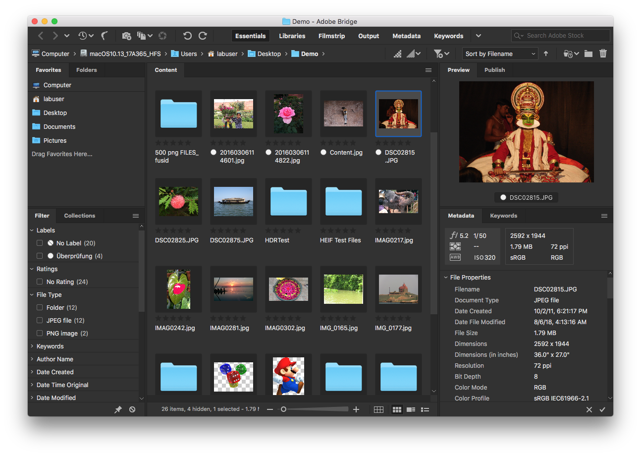 How to use the Adobe Bridge panels and manage workspaces.