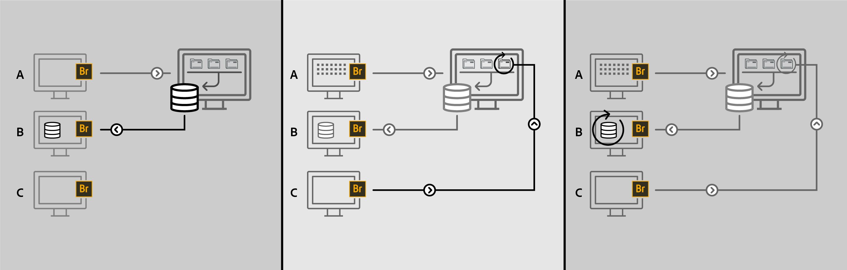 clear adobe bridge cache