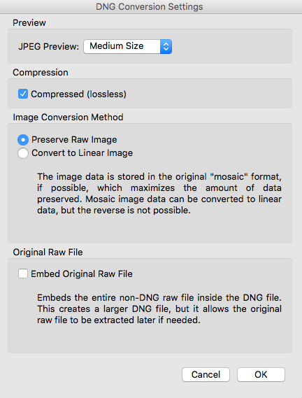DNG Conversion Settings dialog in Adobe Bridge
