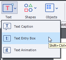 How to add text entry boxes with Adobe Captivate