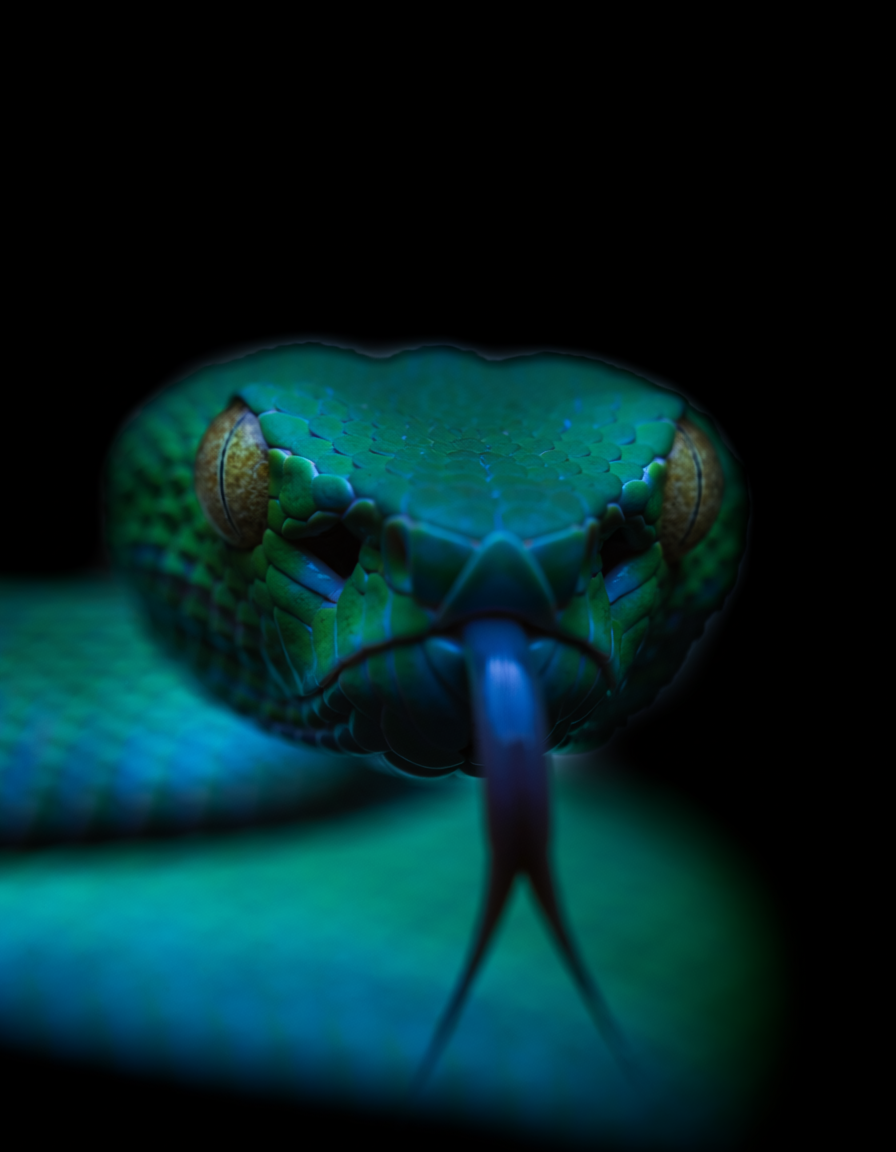 Original snake image