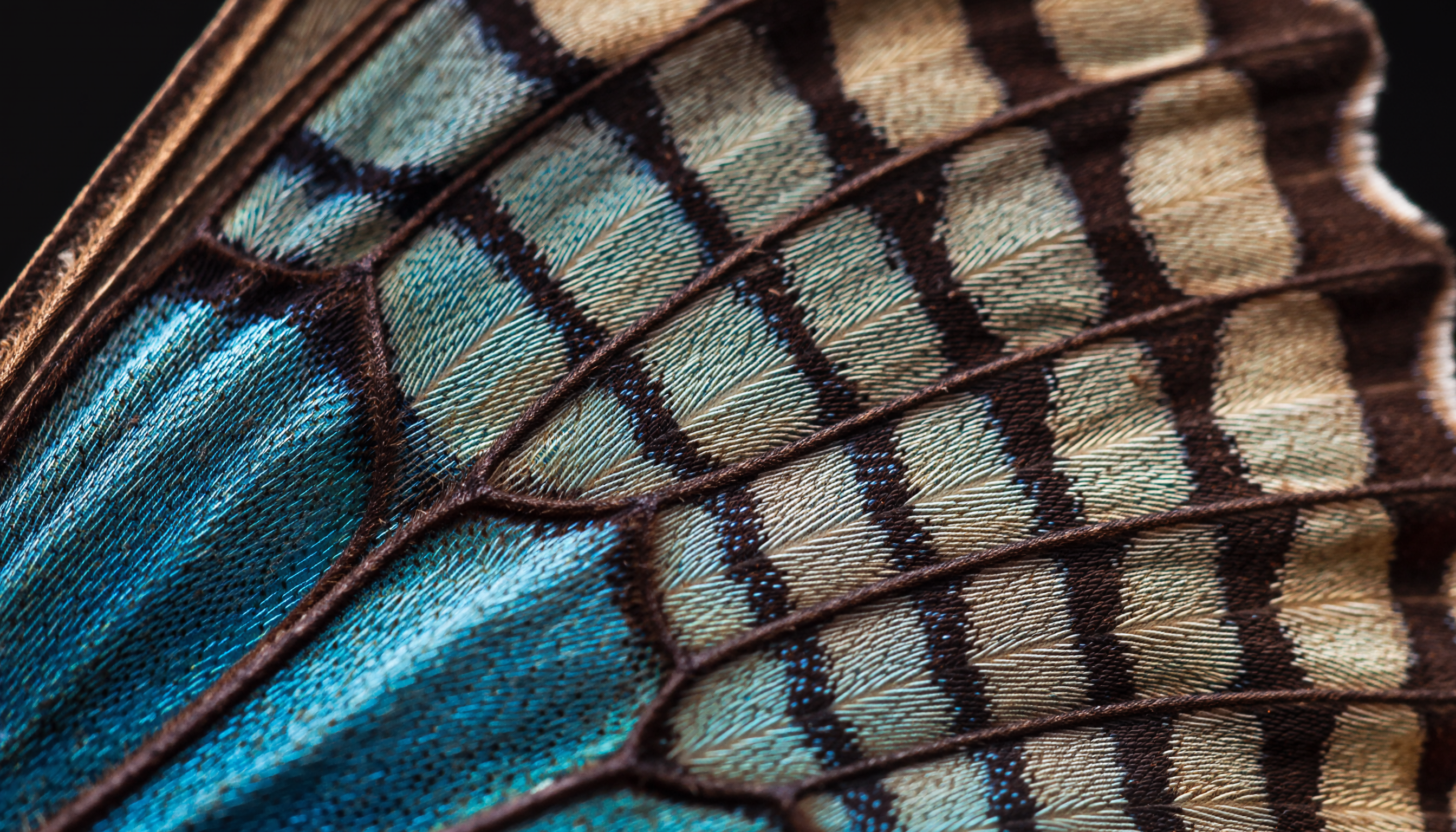 Materials and detailed shots example