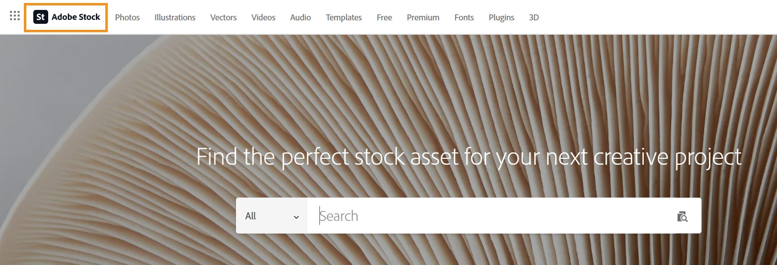 Stock & Marketplace tab in the Creative Cloud website Stock & Marketplace tab in the Creative Cloud website