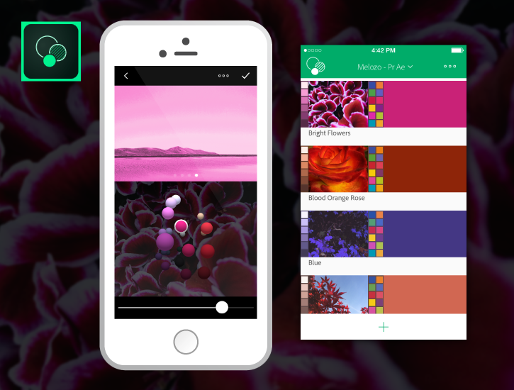 Color swatches pulled from nature photos added to Hue CC in Capture are saved to CC Libraries and used in a composition.