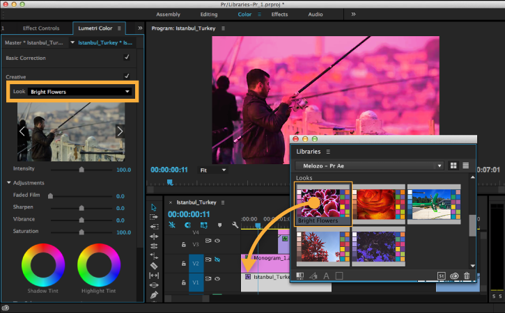 Colors pulled from a nature photo in CC Libraries are dragged to a Premiere Pro sequence and adjusted in Lumetri Color Panel.