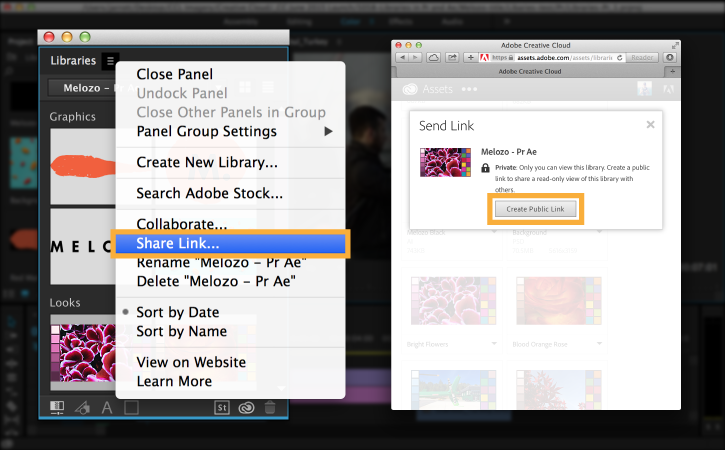 Invite people to view or save a copy of your library by clicking the more options menu and creating a public link for sharing