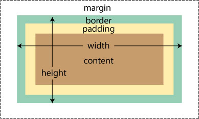 Back to the Basics: HTML Padding & Margins - OSTraining