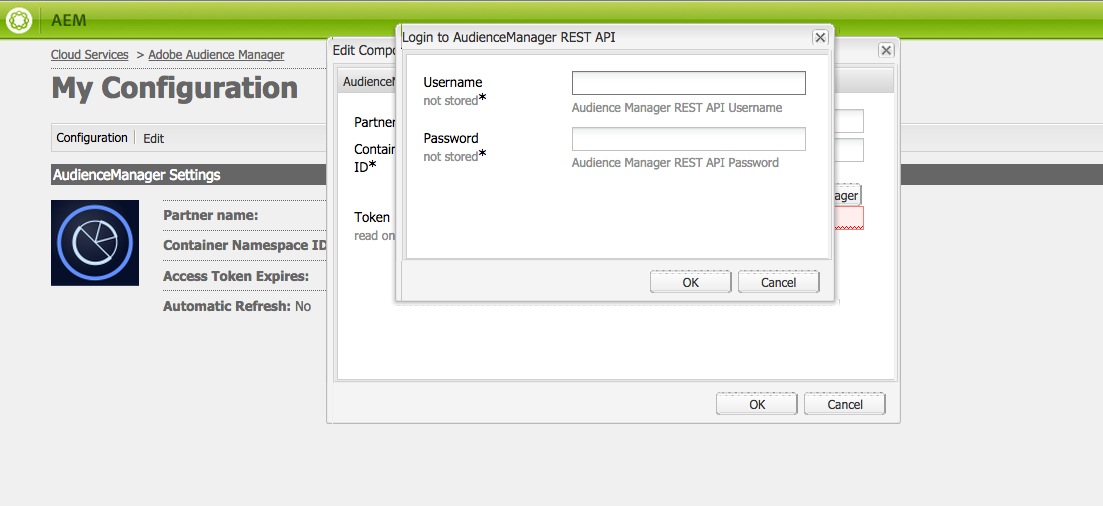 adobe audience manager tag