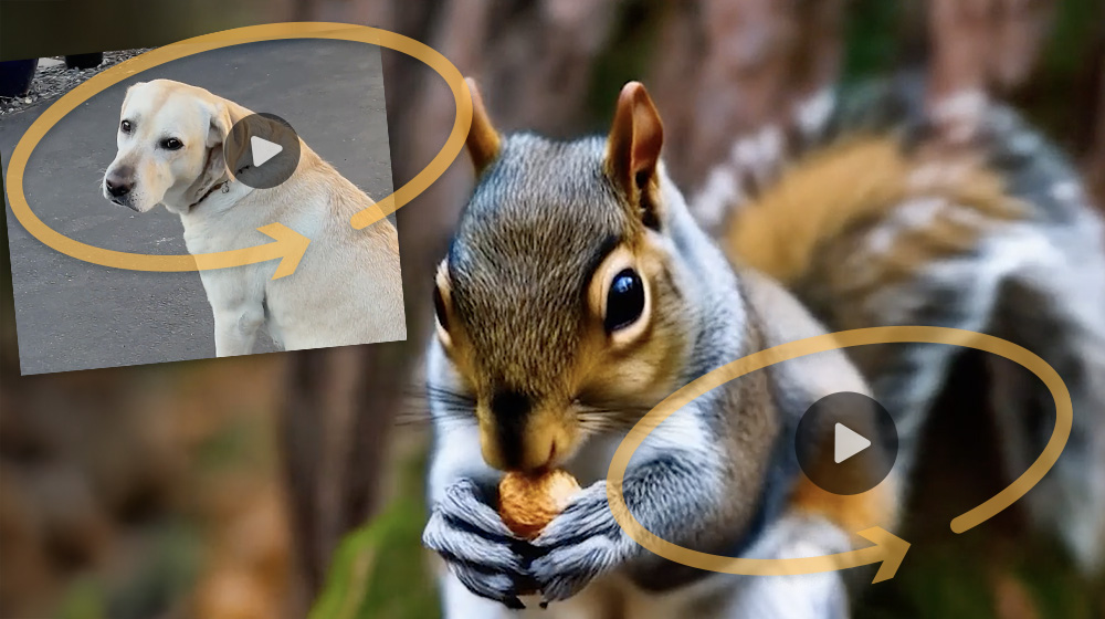 Tip: Borrow camera motion from real footage in Firefly