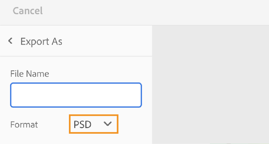 Export as PSD file type File type