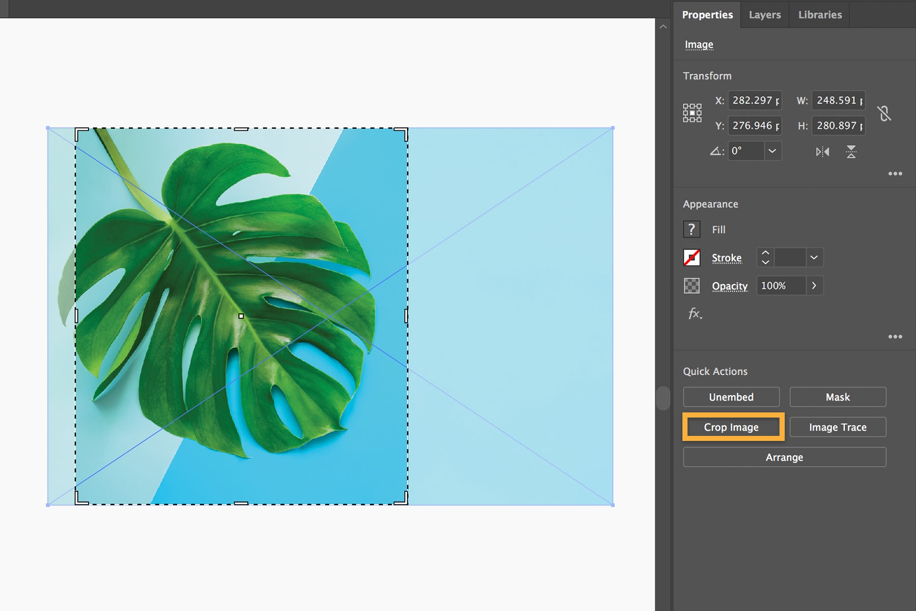 A tropical leaf is selected for cropping. Image < Trace is used to convert raster images to vector art. A tropical leaf is selected for cropping. Image < Trace is used to convert raster images to vector art.