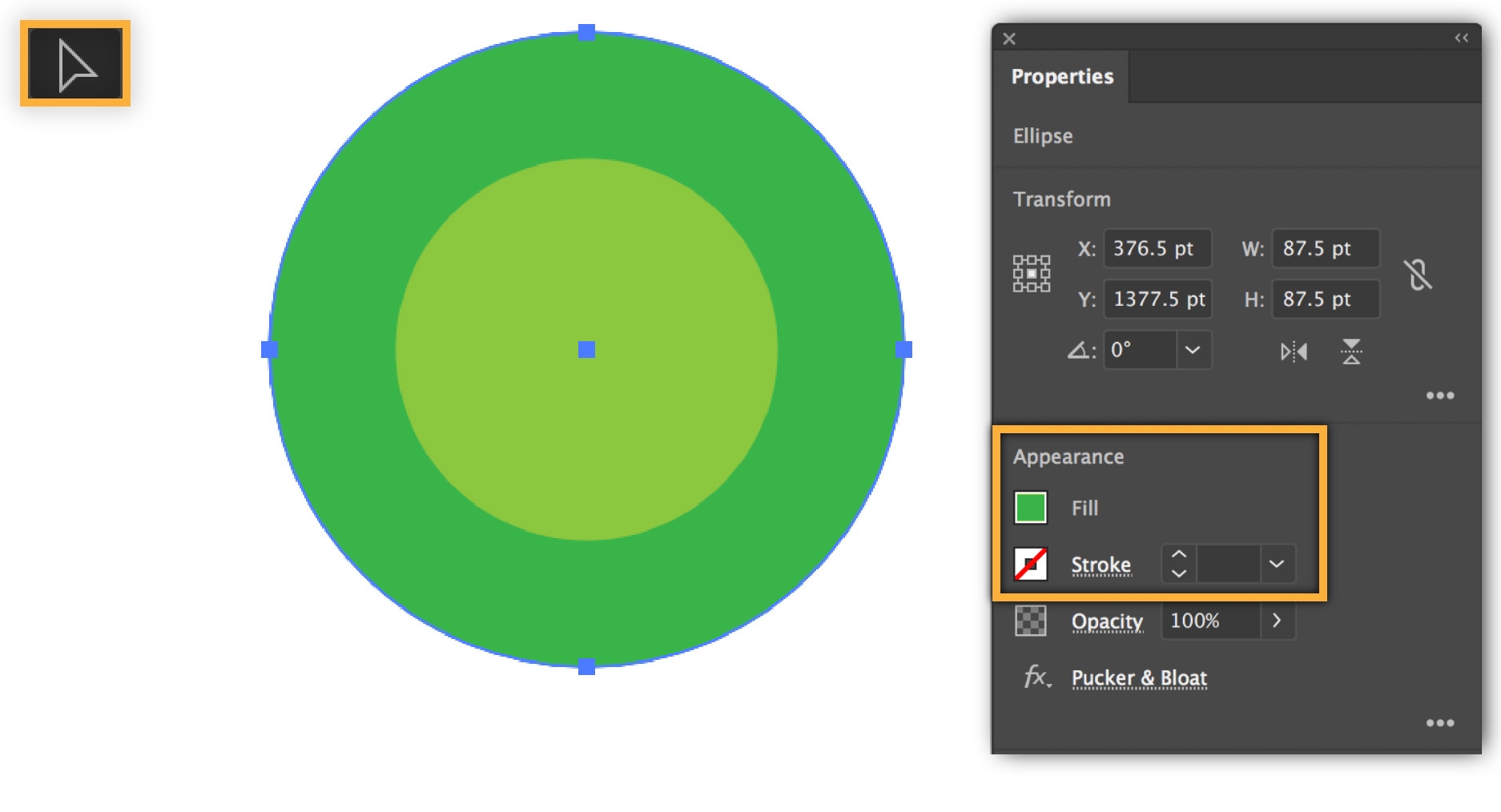 The fill tool is used to color the outer circle green, and the inner circle yellow-green. The fill tool is used to color the outer circle green, and the inner circle yellow-green.