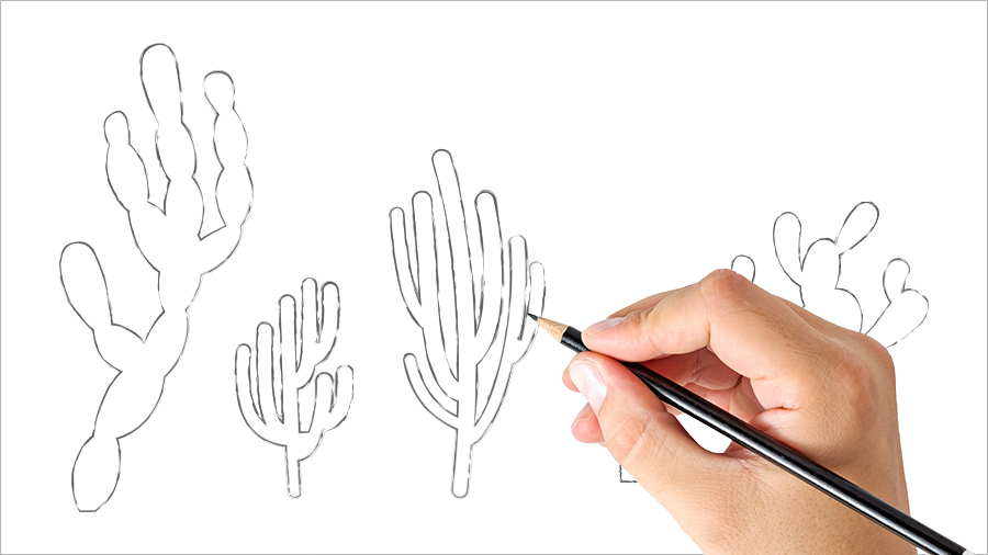 A person's hand with a pencil drawing various forms of cactus plants