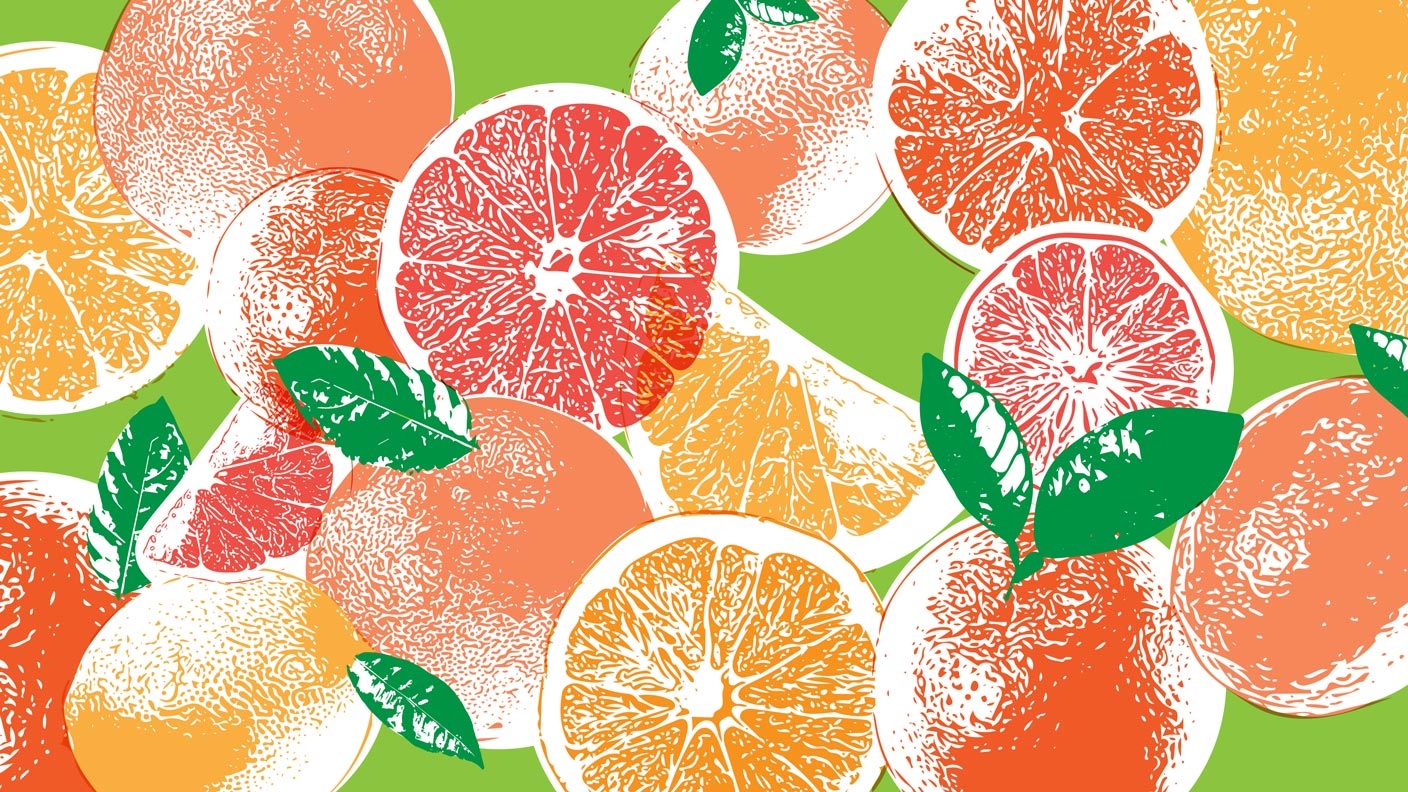 Whole and cut citrus fruit is artfully colorized to create a collage