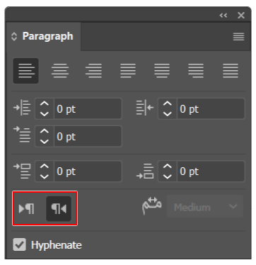 plain text editor with paragraph