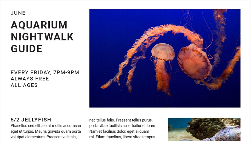 Download InDesign and get started