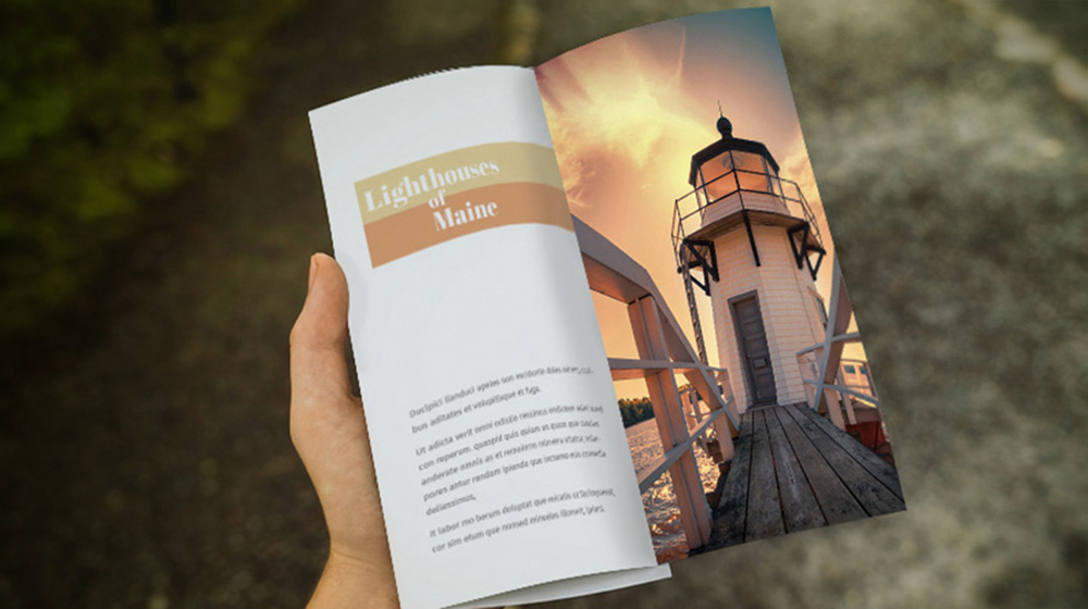 adobe indesign examples